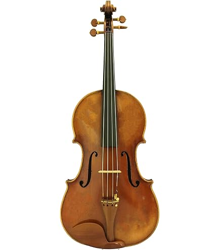 viola Amazon.com: D'Luca JS900VA Antique Full Size Viola : Musical